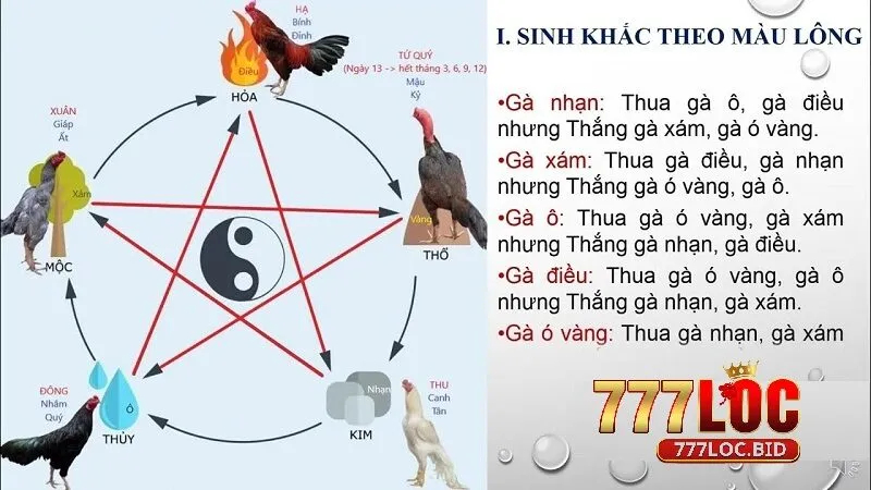Màu Sắc Tương Ứng Với Mạng Gà 777loc | Bí Quyết Chọn Gà Chiến Thắng - id Màu sắc và ý nghĩa tương ứng