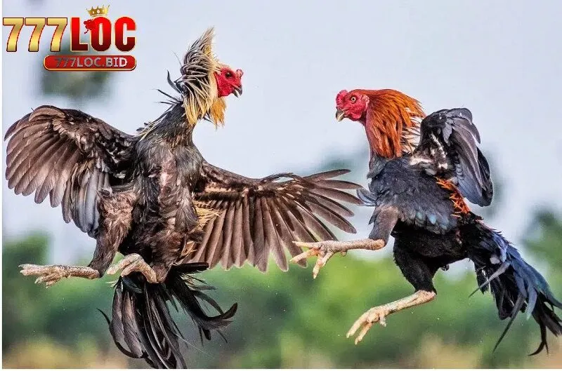 Một số mẹo khi tham gia chơi