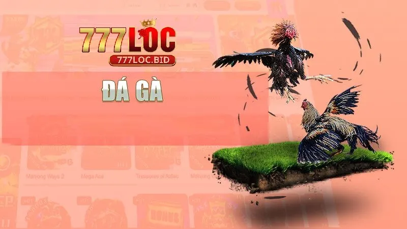 Trải nghiệm đá gà 777loc cho người mới