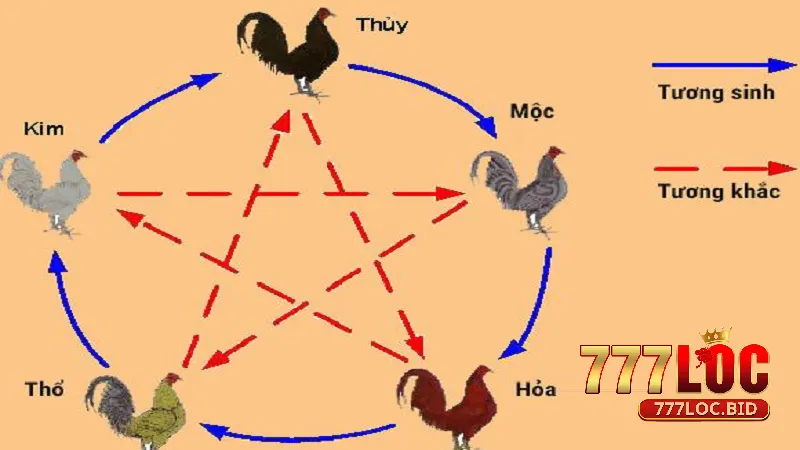 Màu Sắc Tương Ứng Với Mạng Gà 777loc | Bí Quyết Chọn Gà Chiến Thắng - id Ý nghĩa ngũ hành trong phong thủy