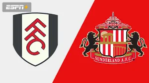 Fullham vs Mèo Đen